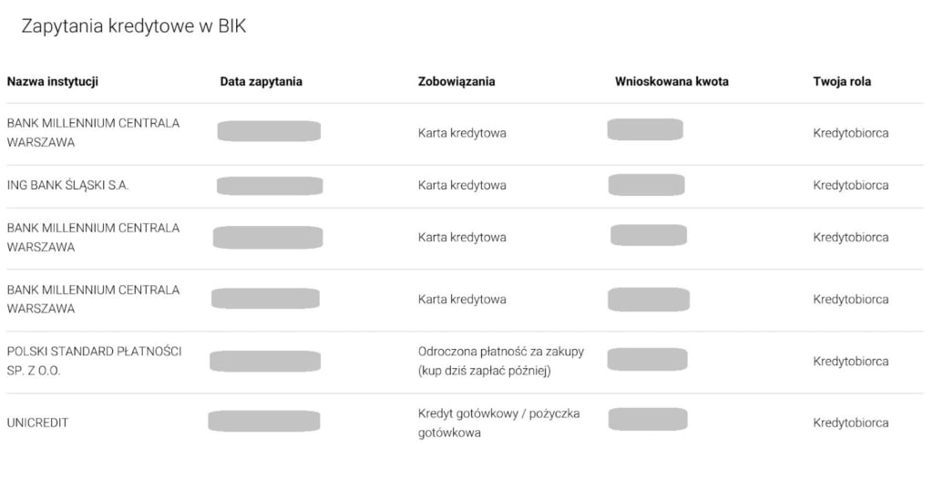 zapytania w BIK