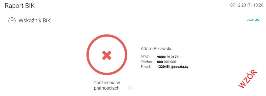 przykładowy raport BIK