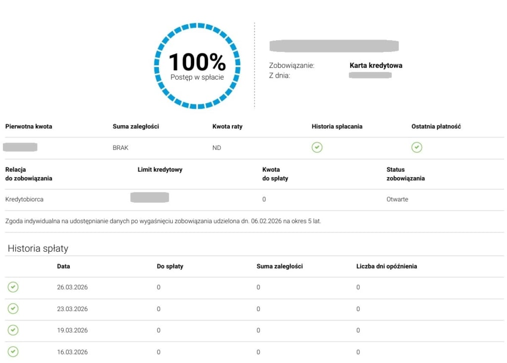 szczegółówe informacje na temat zobowiązania widocznego w raporcie BIK